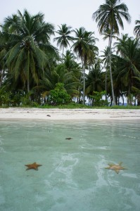 Starfish island